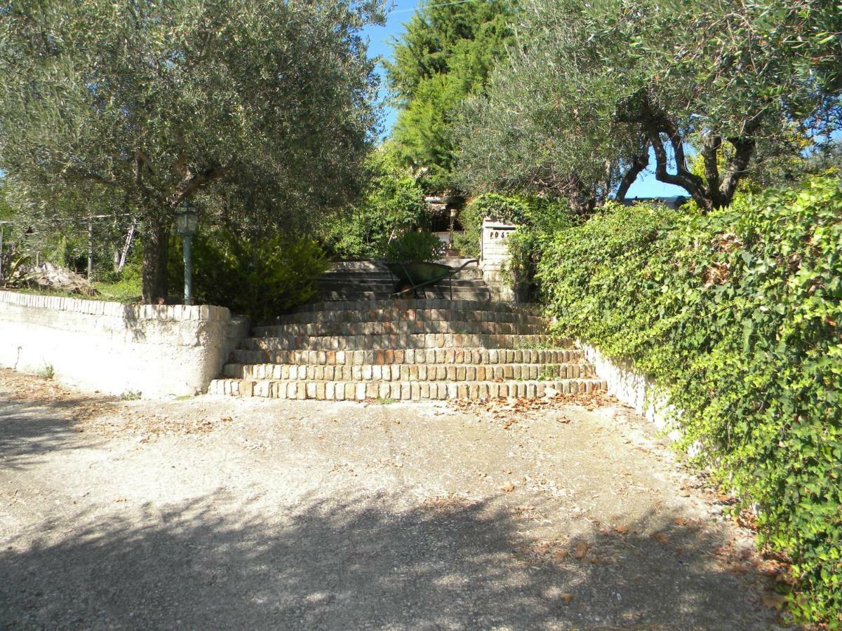 Agriturismo Il Gufo Vila Offida Exterior foto